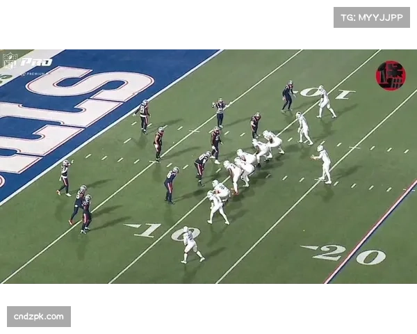 爱国者防守组限制布朗进攻 全场完成6次擒杀